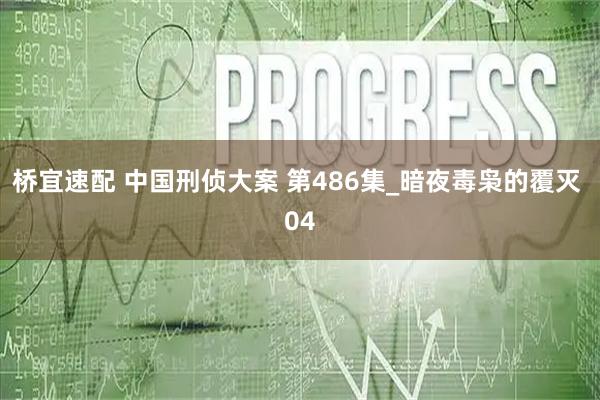 桥宜速配 中国刑侦大案 第486集_暗夜毒枭的覆灭 04