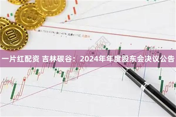一片红配资 吉林碳谷：2024年年度股东会决议公告