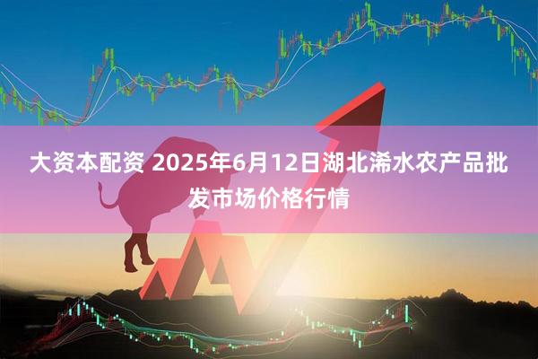 大资本配资 2025年6月12日湖北浠水农产品批发市场价格行情